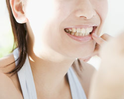 ���������鏗��